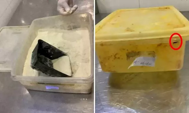 Dirty boxes left by 'disgruntled ex-staff member', says food company fined $4,800 for hygiene lapses