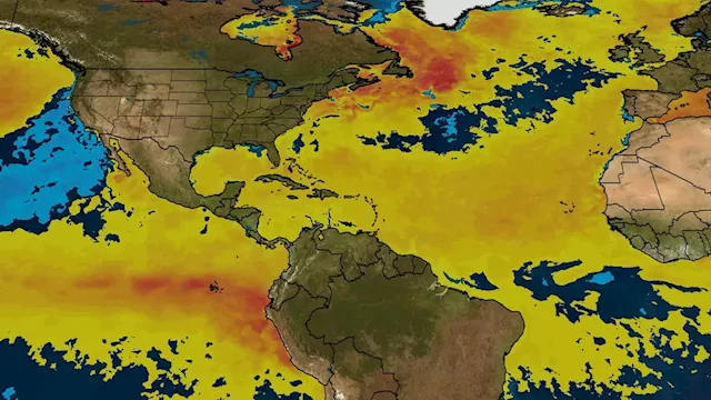 Hurricane Season Outlook From The Weather Company | Weather.com