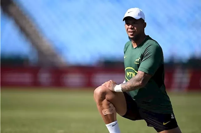 Elton still in business? Nienaber doesn't rule out Springbok game time for fringe pivot | Sport