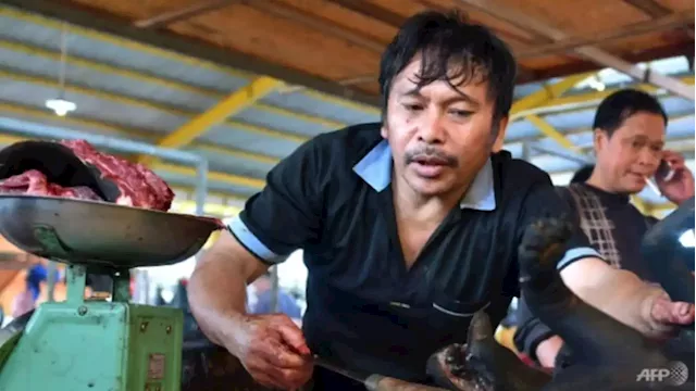 'Extreme' Indonesian market ends dog, cat meat trade