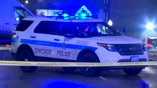 Employee allegedly shoots person during argument at Chicago business