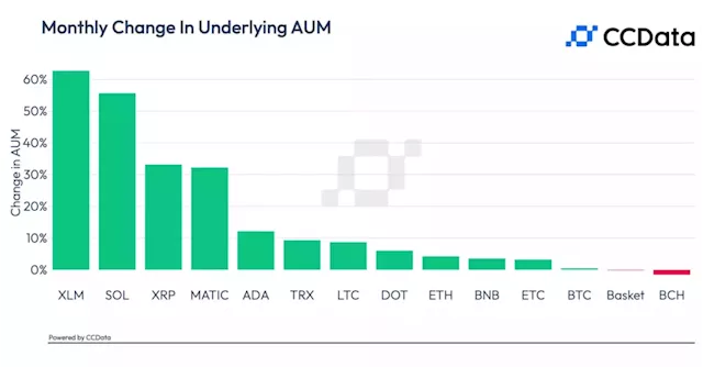 Stellar, Ripple and Solana-Based Investment Funds See AUM Spike in July