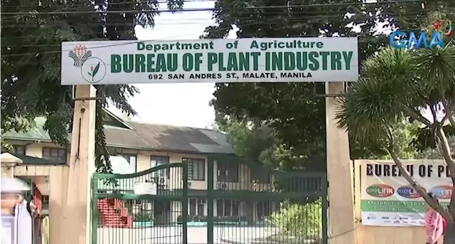 Bureau of Plant Industry aims to boost digital agriculture