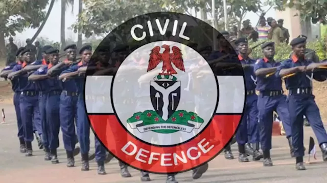 NSCDC issues licenses to 41 private guard companies