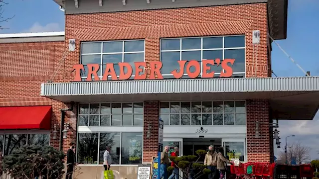 Trader Joe's recalls broccoli cheddar soup and falafel amid concerns over insects and rocks | CNN Business