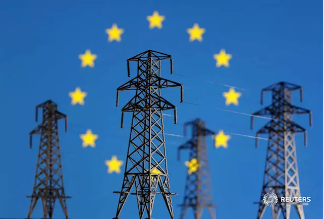 EU green finance standard may play second fiddle