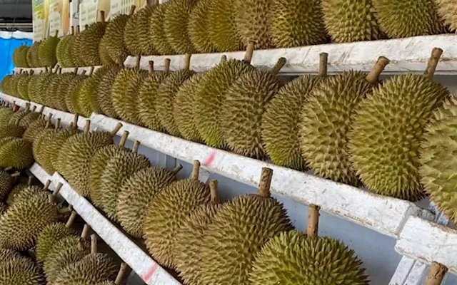 Agrochemical firm Hextar diversifies into durian business