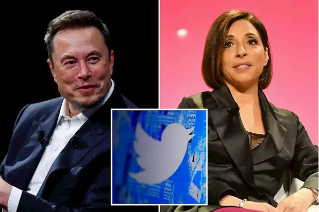 Elon Musk’s Twitter rate limits could undermine new CEO’s efforts to bolster business, ad experts say