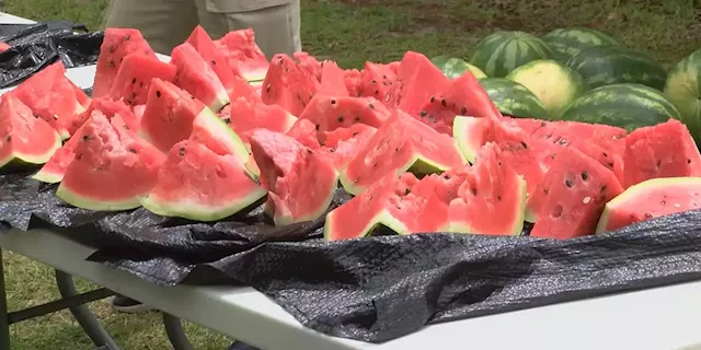 Watermelon Festival at Poplar Head farmer’s market