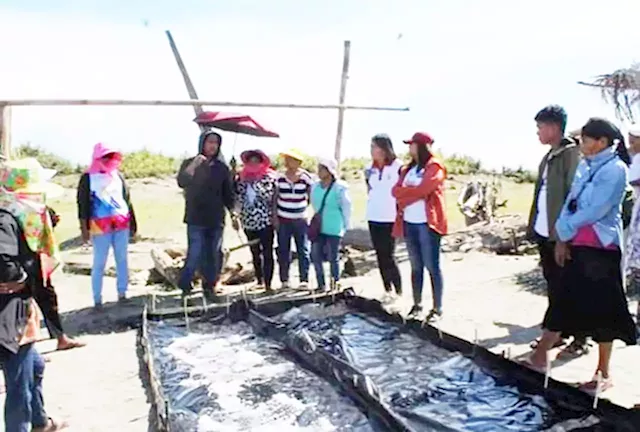 Solar sea salt industry in Cagayan revived