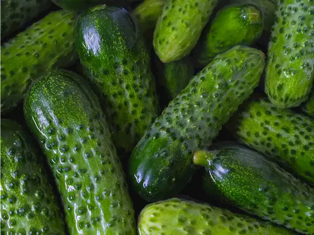 JARRING SITUATION: Pickle company sues rival over recipe-stealing allegations