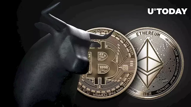 Giant Whales Bet Big on Ethereum (ETH) & Bitcoin (BTC), Sparking Market Optimism