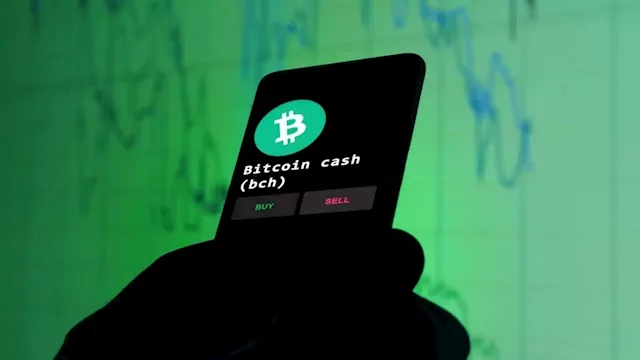 Biggest Movers: BCH Price Plunges Following Recent 15-Month High – Market Updates Bitcoin News