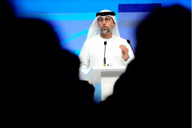 Additional oil output and export cuts should be enough to balance market, UAE says