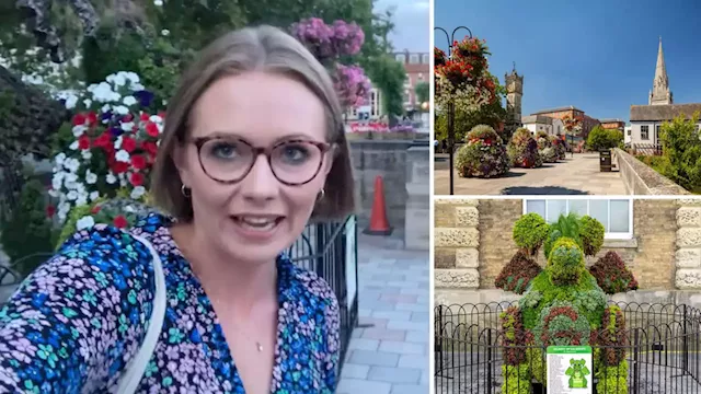 What a basket case! row breaks out as Salisbury City Council votes to scrap hanging baskets in historic market square