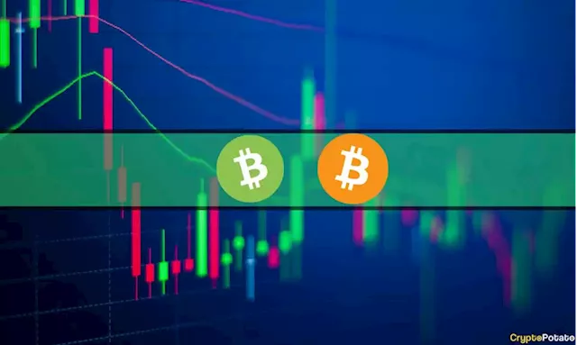 Bitcoin Cash Jumps 8% Daily, Bitcoin Challenges $31K Again (Market Watch)