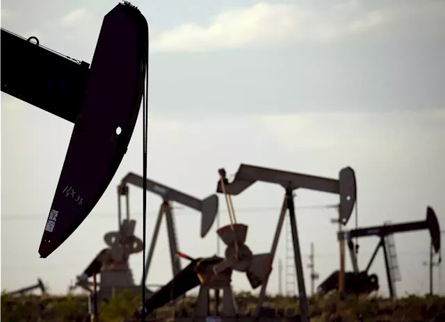 Oil steadies as market digests supply and demand outlook