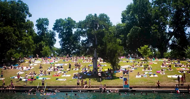 Barton Springs could have been a putrid swamp. Saving it shaped Austin's housing market.