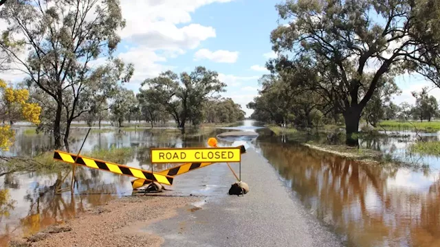 ‘Hang their heads in shame’: Littleproud grills insurance companies over treatment of flood victims