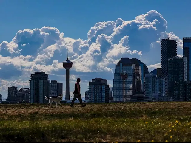 Calgary real estate market sizzles as newcomers flock to Alberta