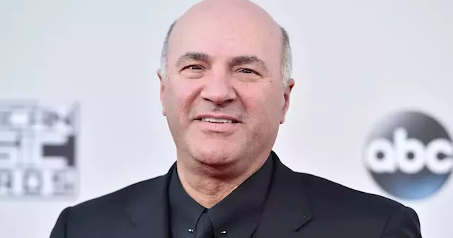 Shark Tank's Mr. Wonderful to teach business school class on Bud Light debacle