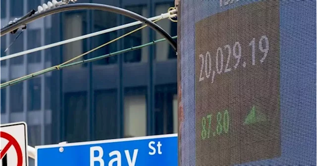 Canada's Stock Market Rises as U.S. Markets Decline