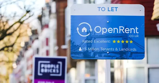 Warning to renters as expert says market shows 'no signs of slowing down'