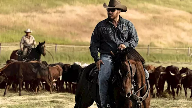 ‘Yellowstone’ Cowboy Cole Hauser Launching a Western-Inspired Coffee Company This Fall