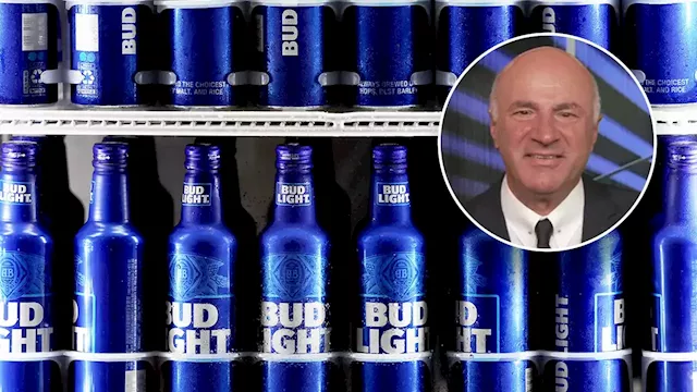 Bud Light's 'unforeseen error' makes enticing case for business schools, 'Shark Tank' star Kevin O'Leary says