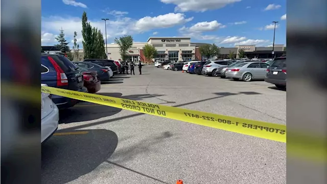 Man killed in shooting in parking lot at Market Mall in Calgary