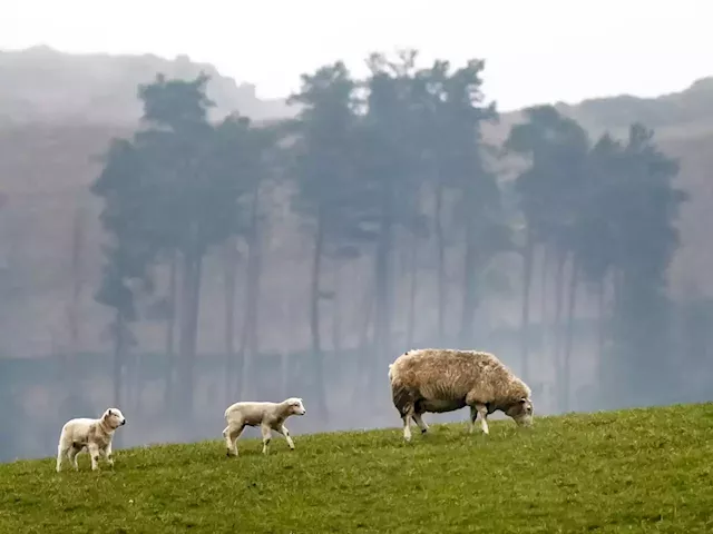 Countryside business boom as almost 100,000 new rural firms launched