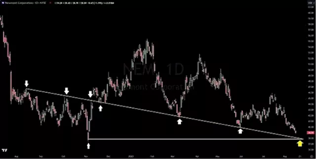 Newmont Corporation: A Potential Bounce in Precious Metals Market