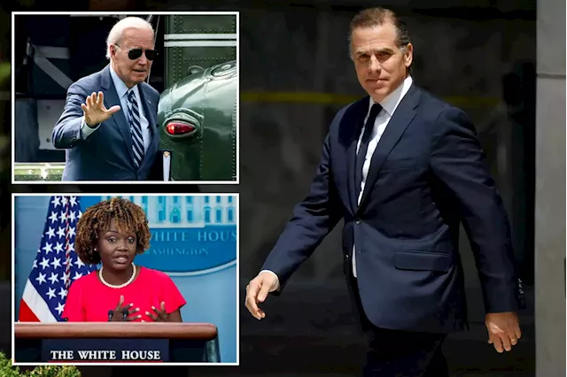 White House claims ‘zero evidence’ Joe Biden involved in Hunter’s business deals as GOP hunts bank records