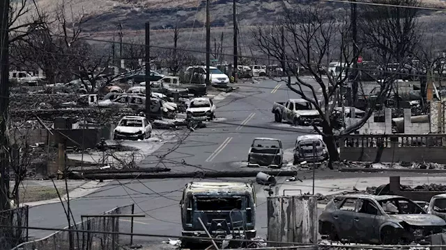 What caused Maui wildfire? Videos put scrutiny on electric company over downed power lines