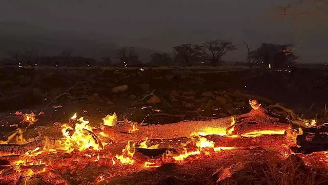 Maui wedding photographer speaks out as wildfires leave local industry in question: 'Going to take years'