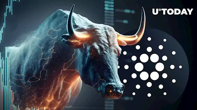 Cardano (ADA) Bull Calls for Long-Term Focus as Market Sentiment Wanes