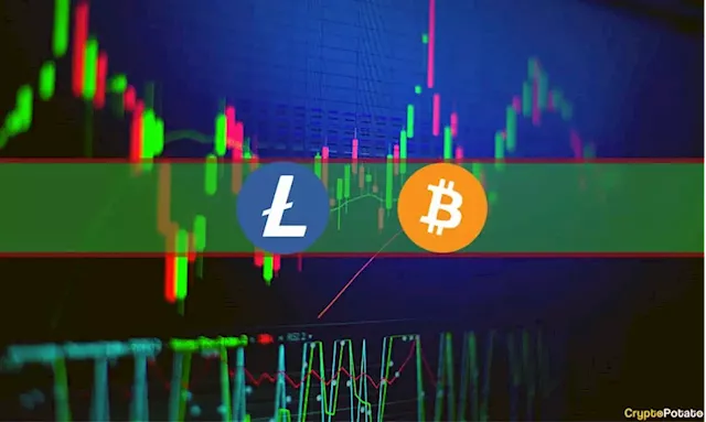 BTC Slips Below $26K Again, LTC, SHIB, XRP Down 20% Weekly (Market Watch)