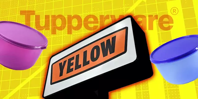 Tupperware and Yellow have skyrocketed, but don’t confuse them with meme stocks