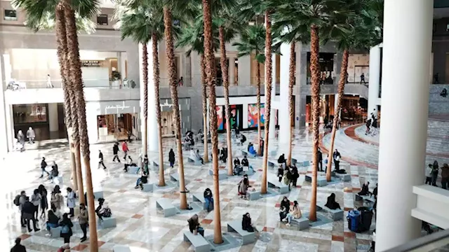 The US mall is not dying | CNN Business