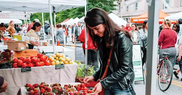 Federal court strikes down East Lansing’s anti-Catholic rule for farmers market