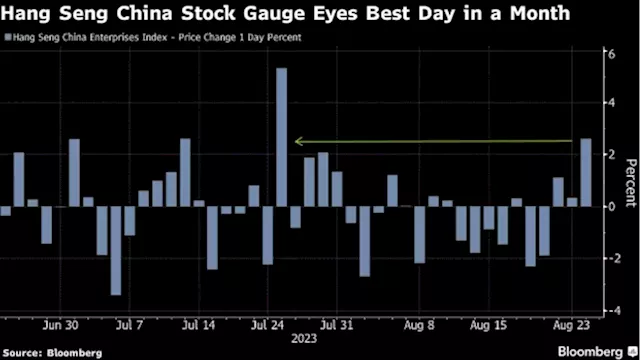 Tech Rally Puts China Stocks on Track for Best Day This Month