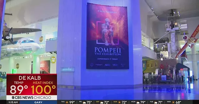 New Pompeii exhibit opening at Museum of Science and Industry