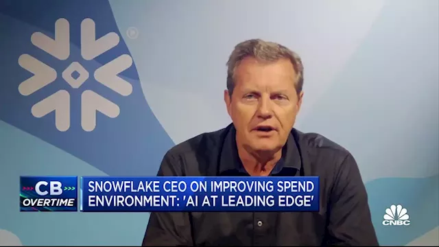 Snowflake CEO: AI is not going to be cheap, there needs to be a business model associated with it