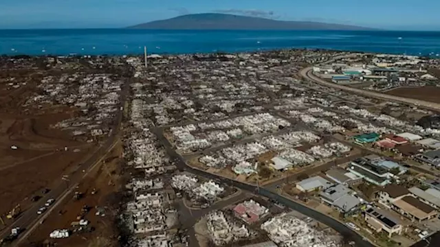 Maui County sues local electric companies in connection with deadly wildfires