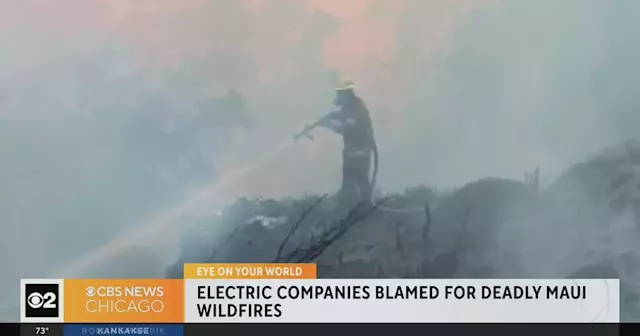 Electric companies blamed for deadly Maui wildfires