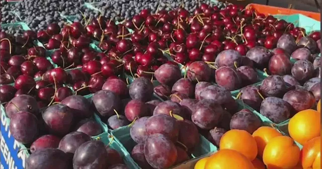 Logan Square Farmer's Market back on after backlash