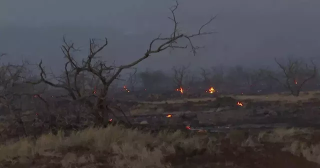 Maui County sues electric company for negligence over Lahaina wildfires