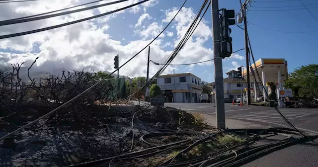 Maui County sues Hawaiian Electric Company for damages from disastrous fires