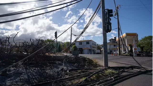 Maui County sues Hawaiian Electric Company for damages from disastrous fires