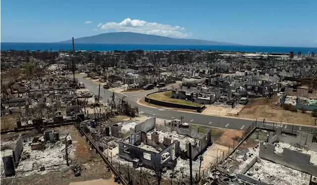 Maui County sues power company, saying utility did not turn off electricity during deadly wildfires